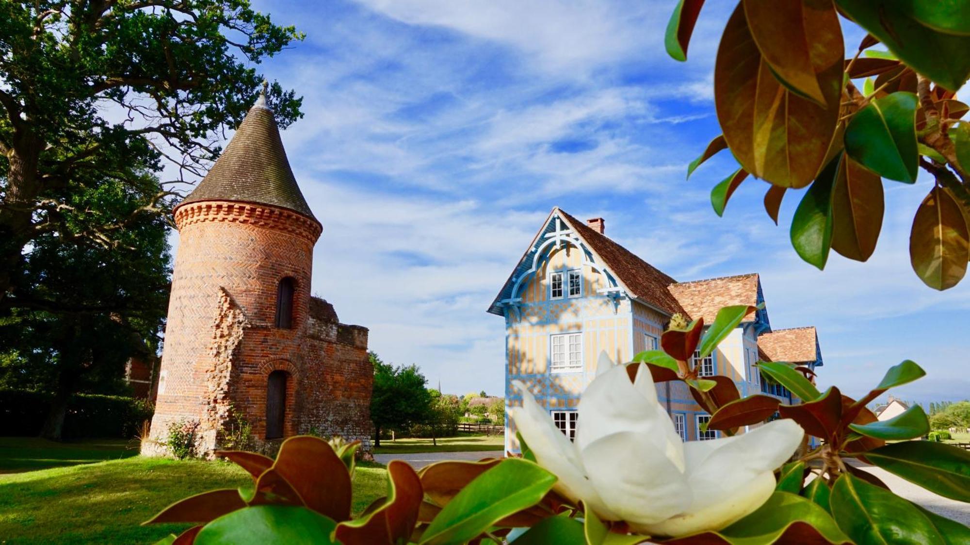 Chateau De Tilly Boissey-le-Chatel Zewnętrze zdjęcie