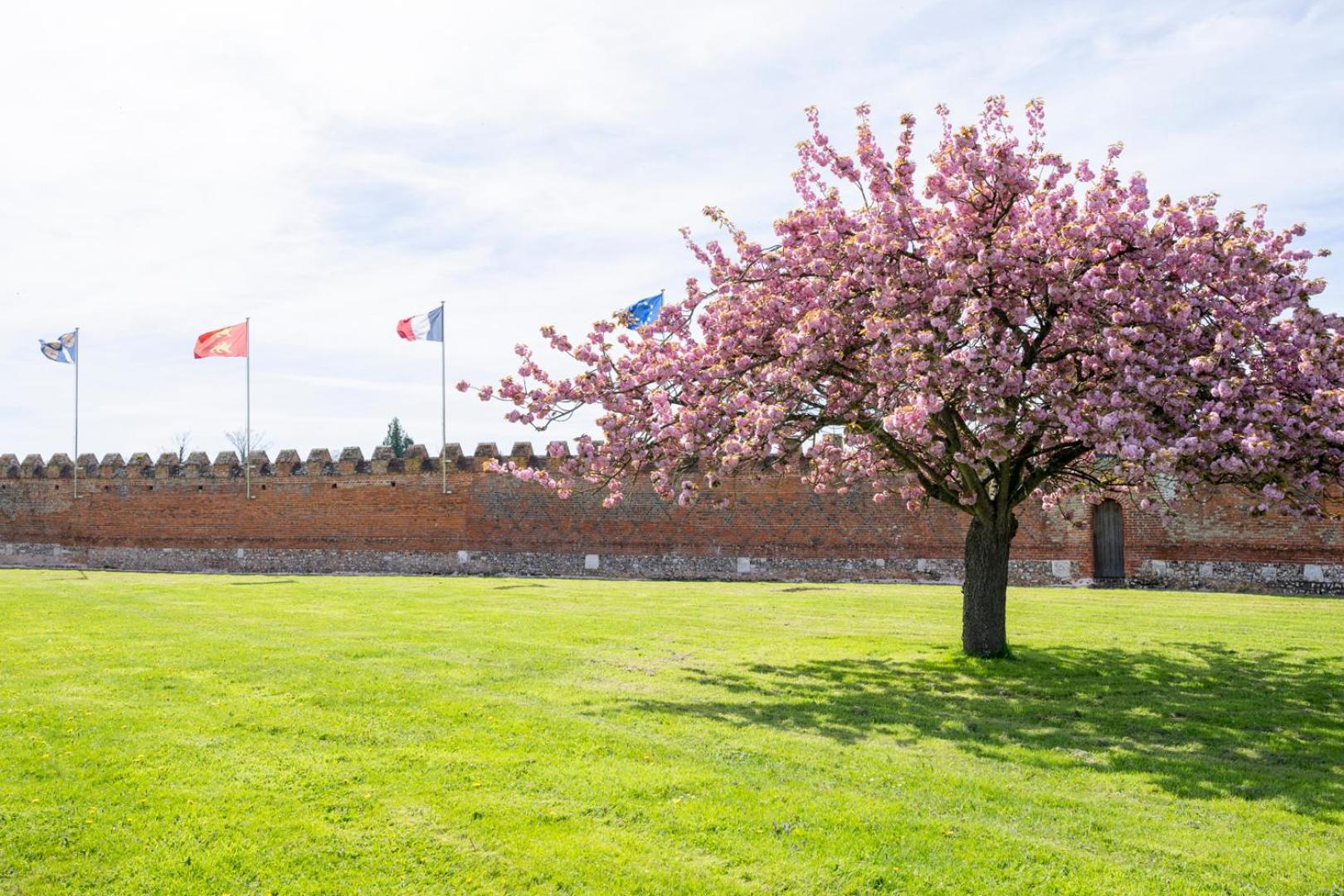 Chateau De Tilly Boissey-le-Chatel Zewnętrze zdjęcie